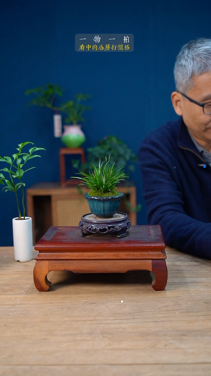 完全开放茶**扬菖蒲183