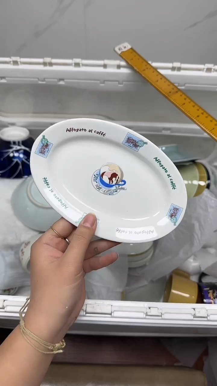 【闪购商品】667回流瓷器默认微瑕，18.8包邮