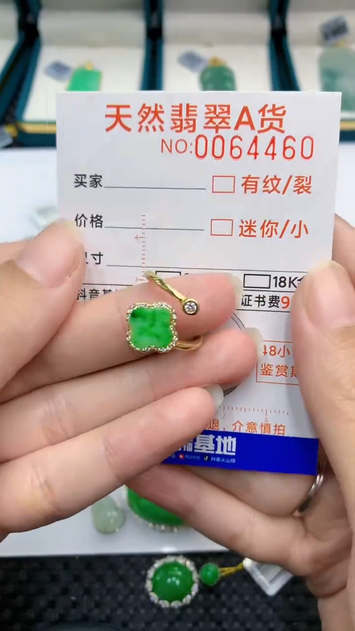 【闪购商品】翡翠颈饰银S925镶嵌            8