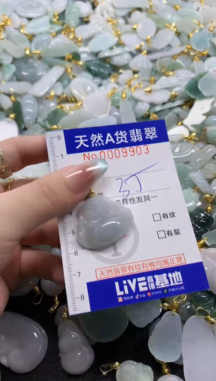 颈饰未镶嵌翡翠天然A货翡翠1