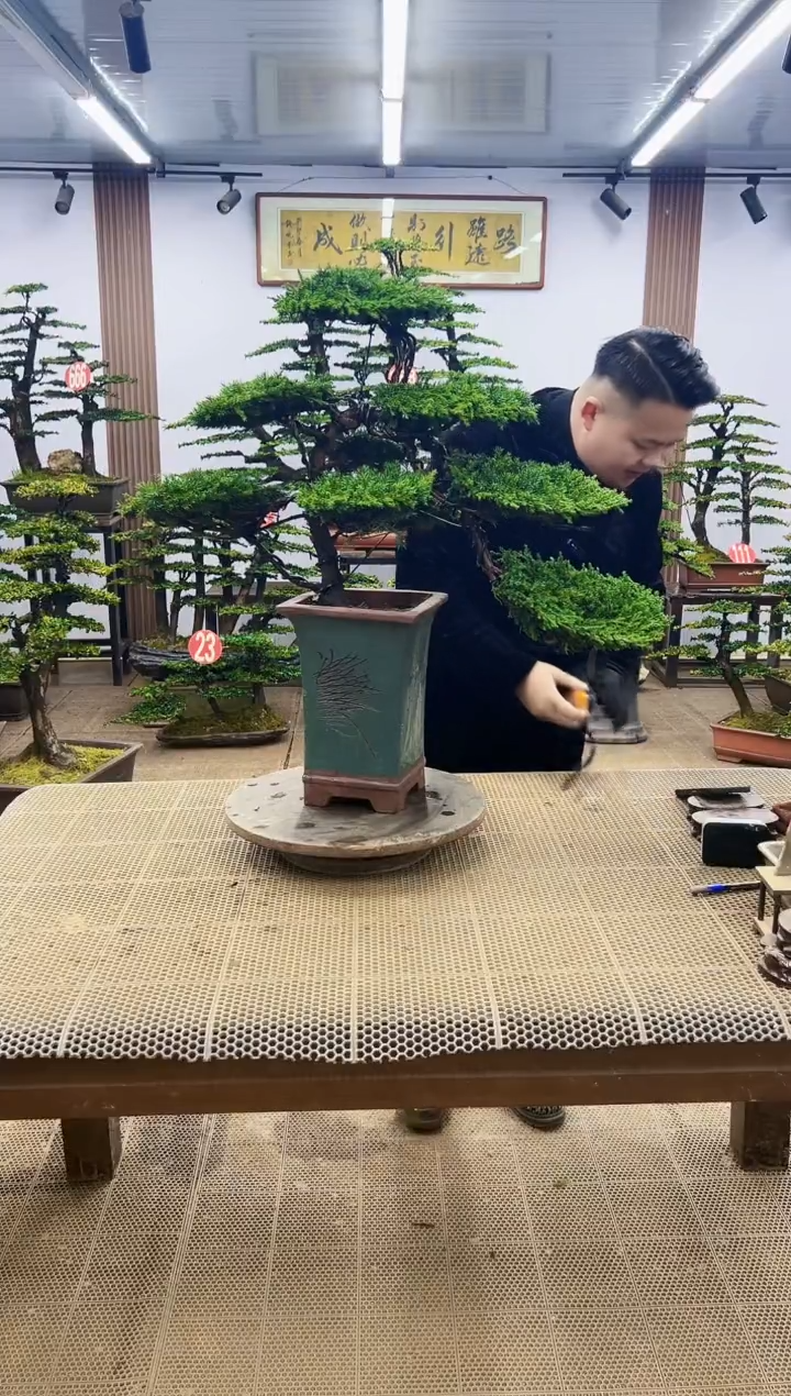 【闪购商品】0000000