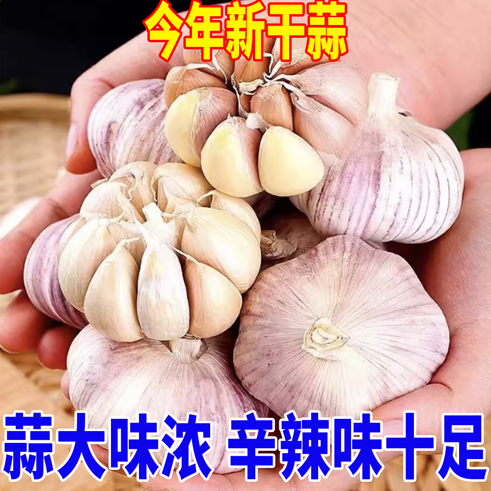 紫白皮干蒜新鲜现挖自然晾晒辛辣提香可吃可种cc