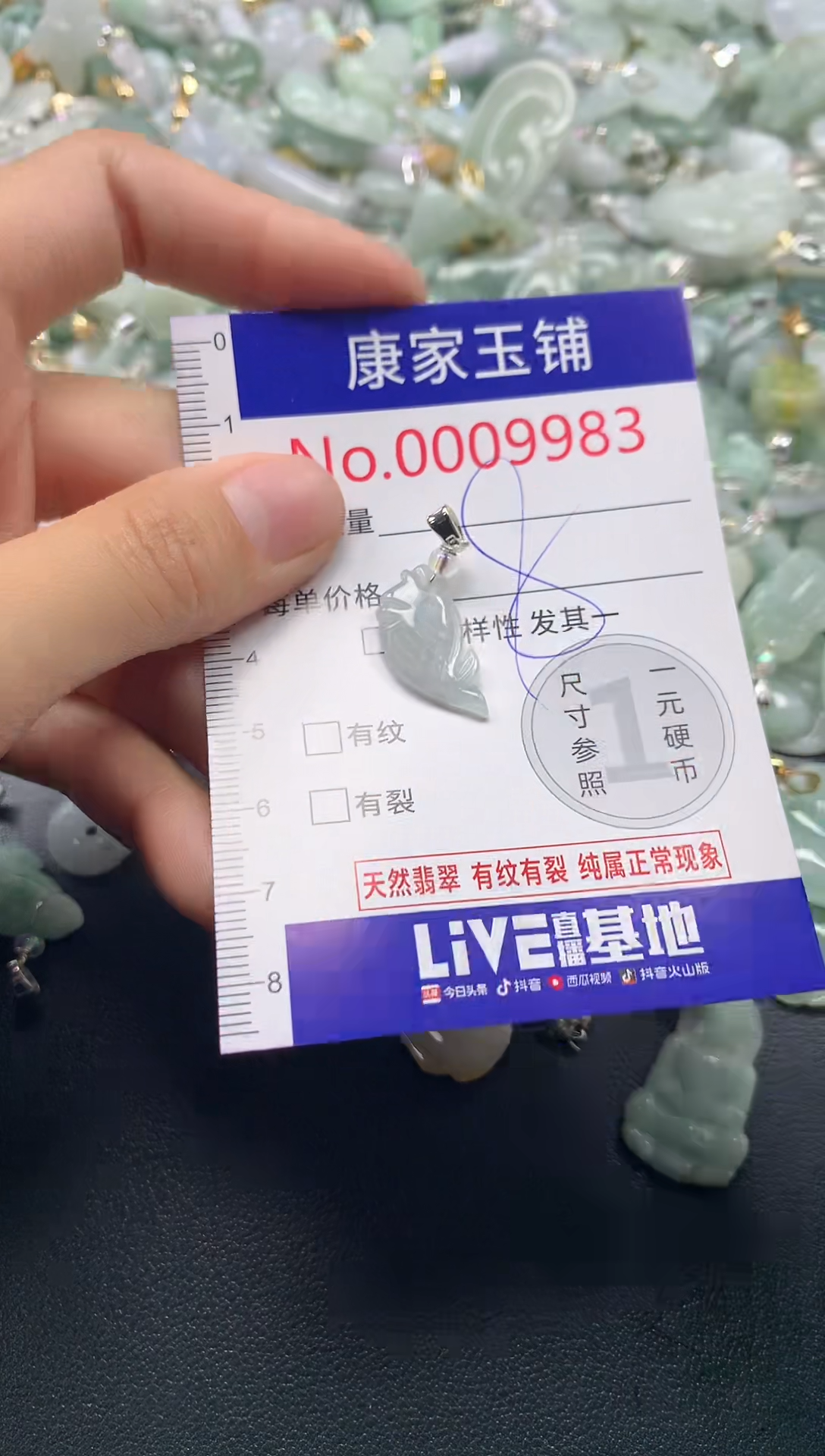颈饰未镶嵌翡翠9983