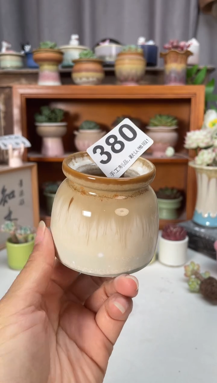 瓷片380小芳直播编号