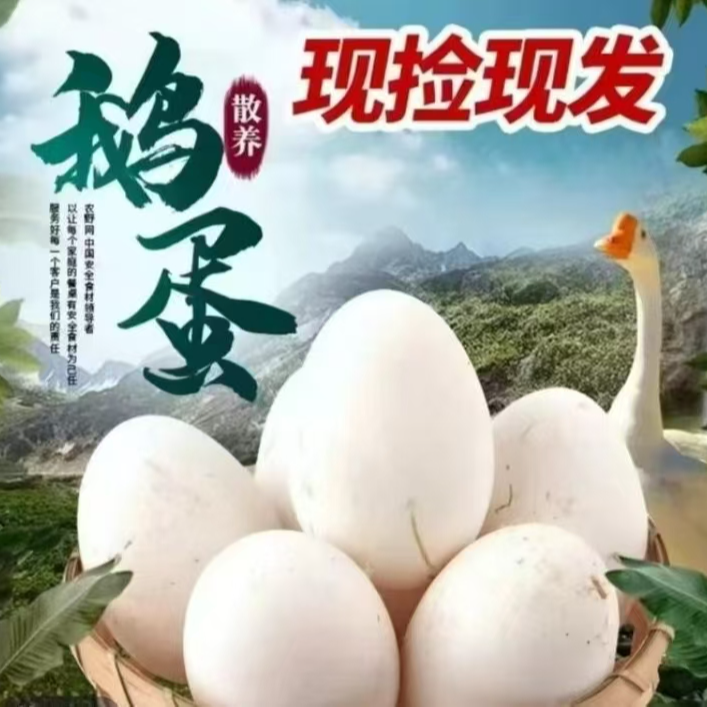 拍6个送6个农家土鹅蛋散养谷物喂养当日现捡破损包赔到手12个