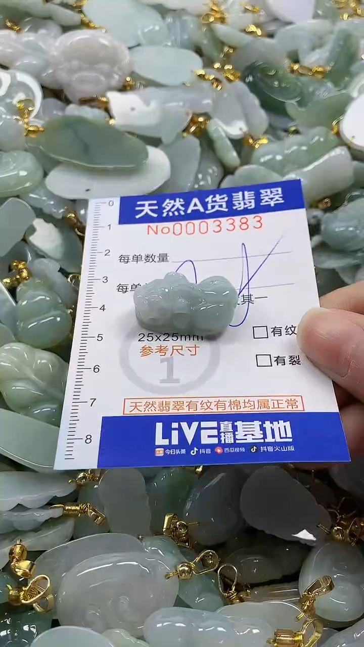 颈饰未镶嵌翡翠纯天然a货翡翠