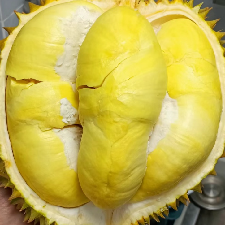 不售厚  新鲜泰国金枕  金枕榴莲核小g（有可能会有酒味、或者硬包）瑕疵不包 瑕疵不包榴莲同城送金枕泰国