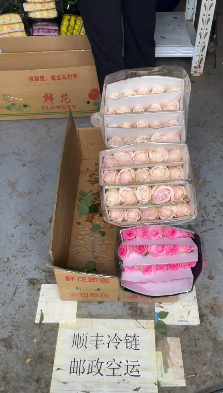 粉红3扎+洛神1扎