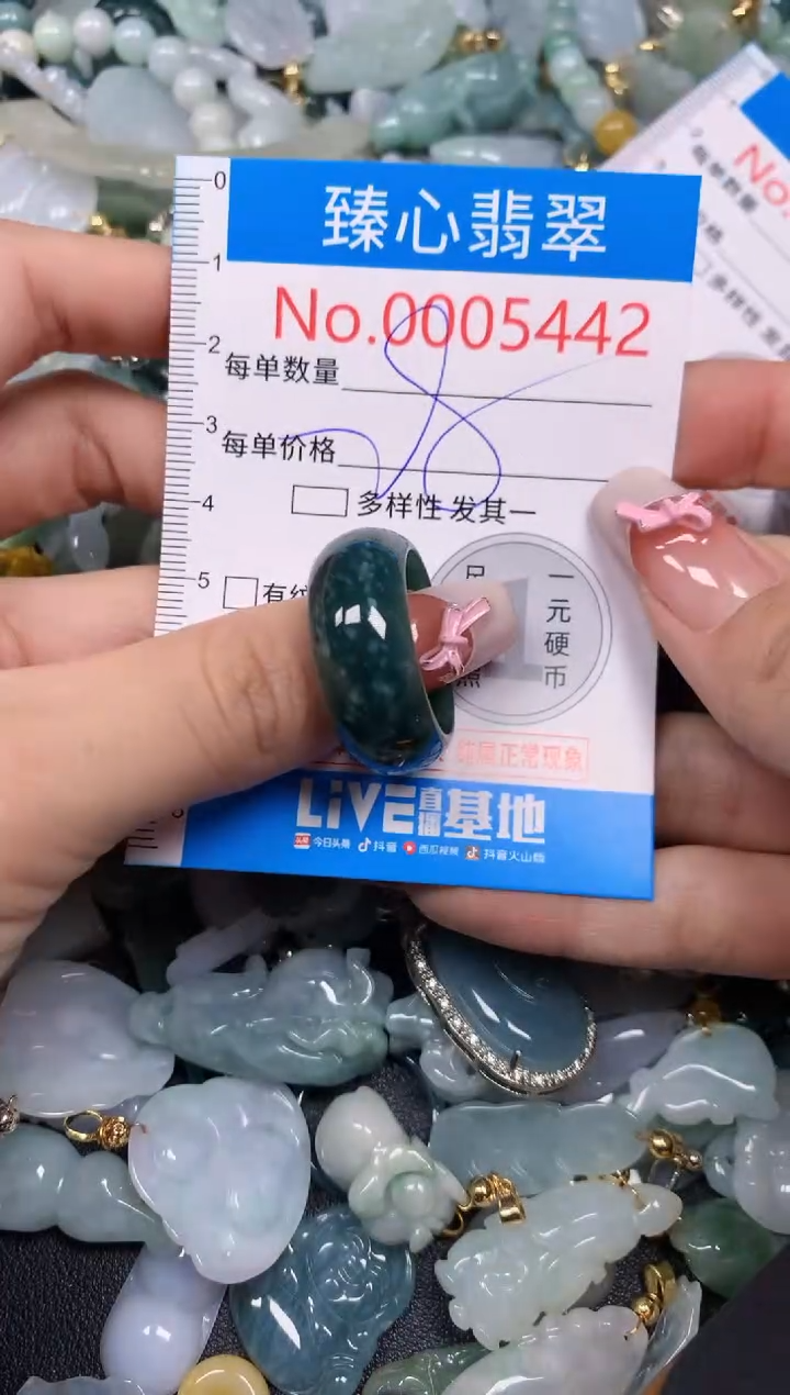 【闪购商品】翡翠颈饰未镶嵌含绳0005442