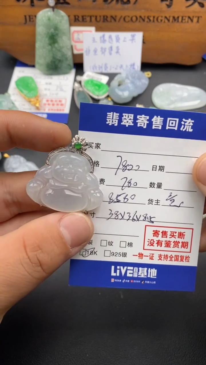 【闪购商品】翡翠颈饰18K金镶嵌30002083