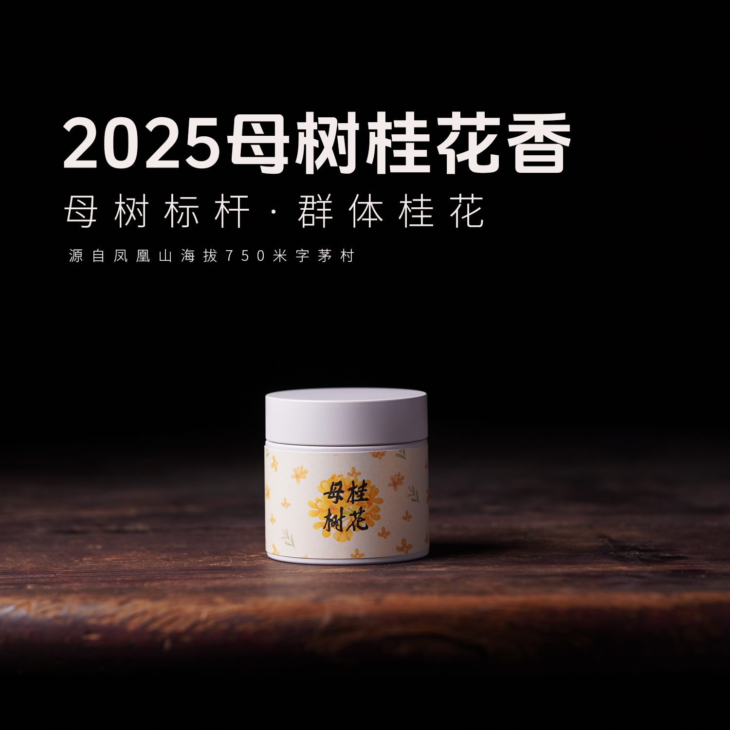 【岽顶道】2025母树桂花香25g非遗手制凤凰单丛茶叶