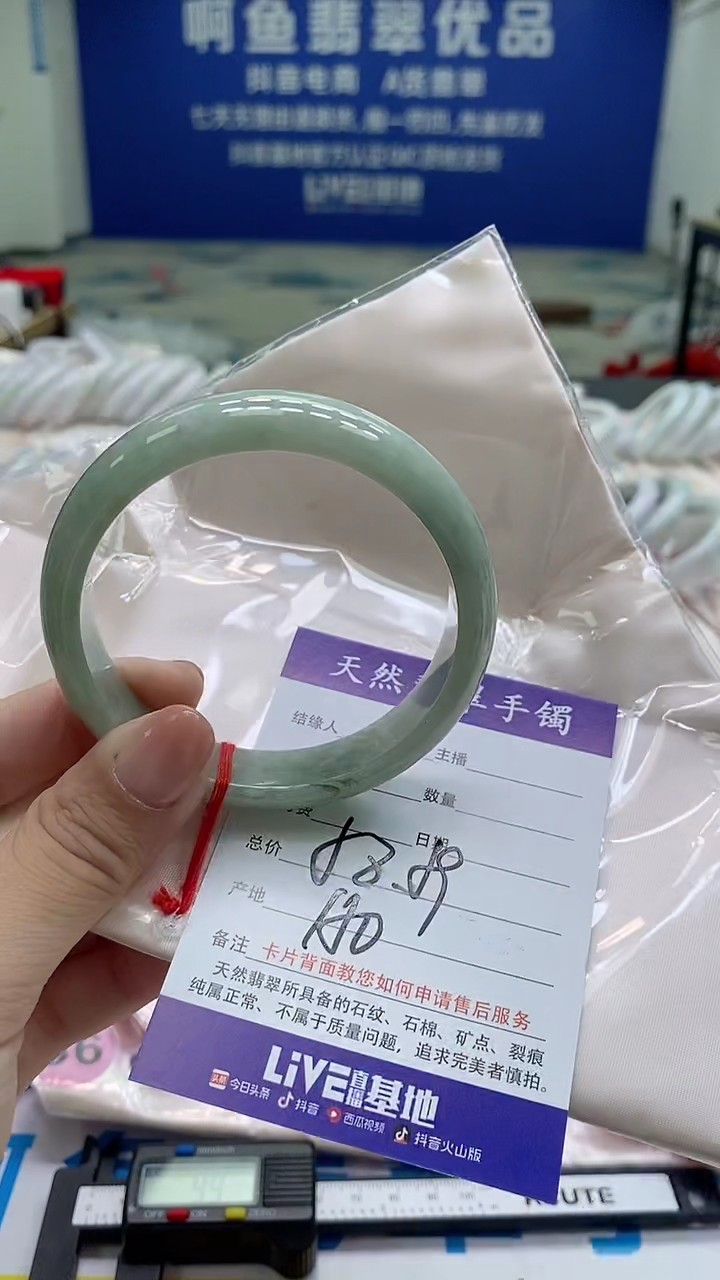 未镶嵌手镯翡翠310