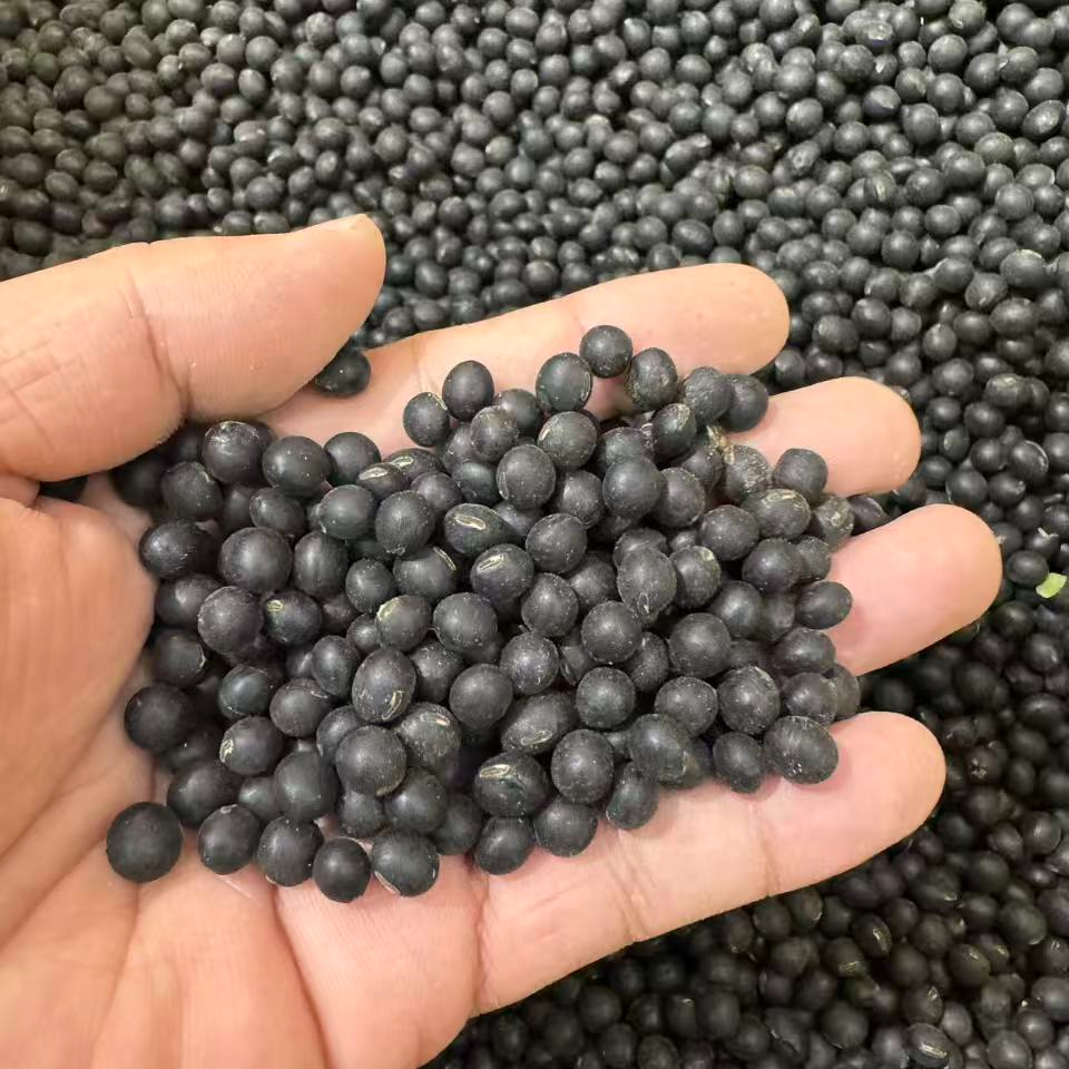 绿心黑豆贵州农家货新货煮粥