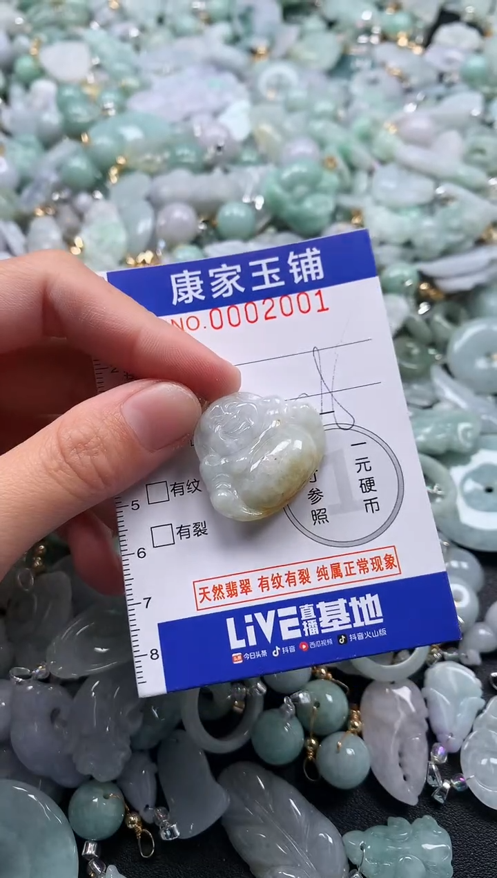 颈饰未镶嵌翡翠2001