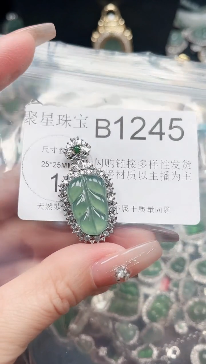 【闪购商品】翡翠颈饰未镶嵌赠皮绳1245