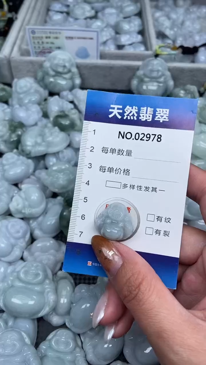 颈饰未镶嵌翡翠纯天然A货翡翠2978