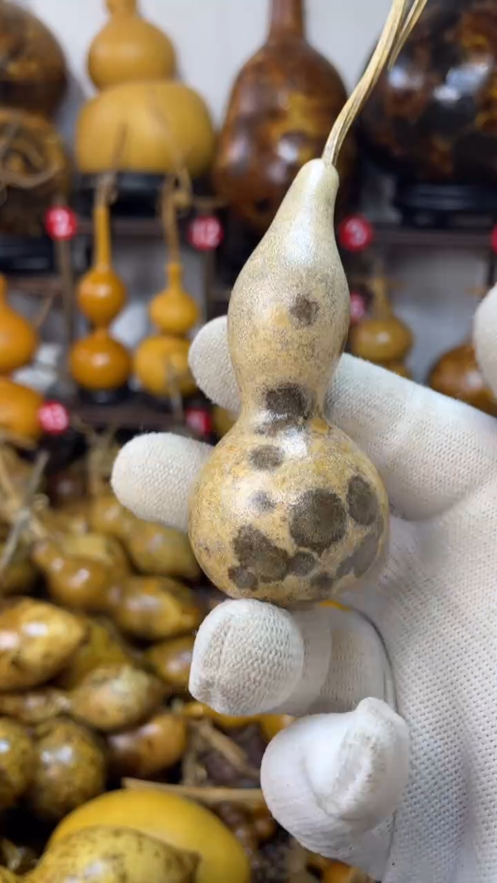 【闪购商品】葫芦葫芦葫芦葫芦