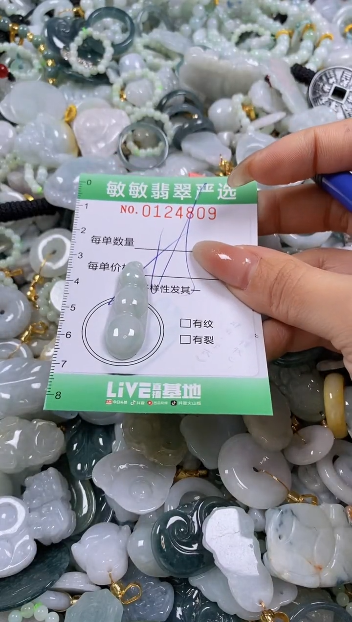 【闪购商品】翡翠颈饰未镶嵌闪购0124809