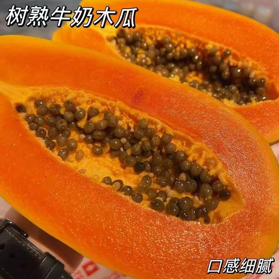 海南树熟奶酪木瓜1个1斤