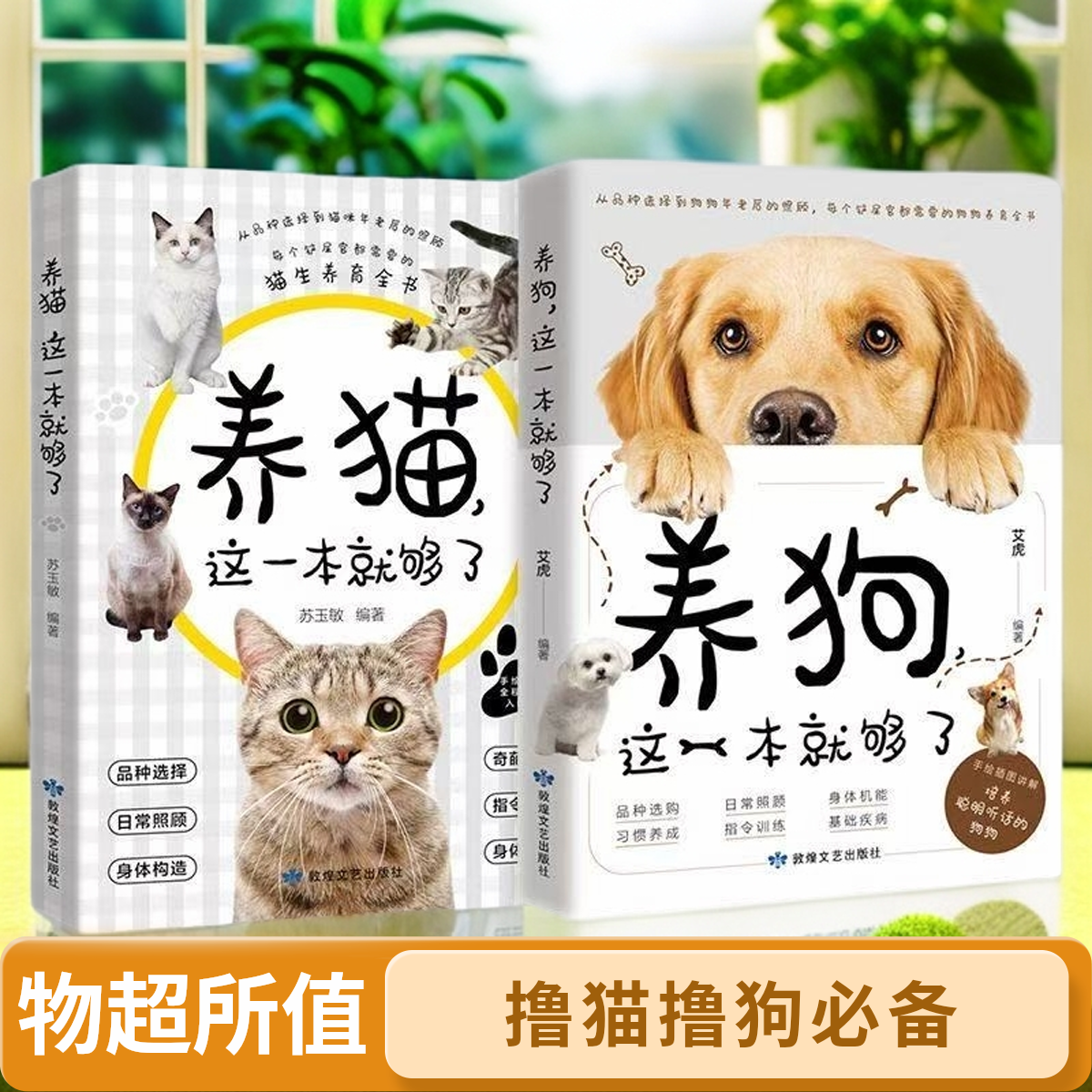 W教你怎么挑选狗狗