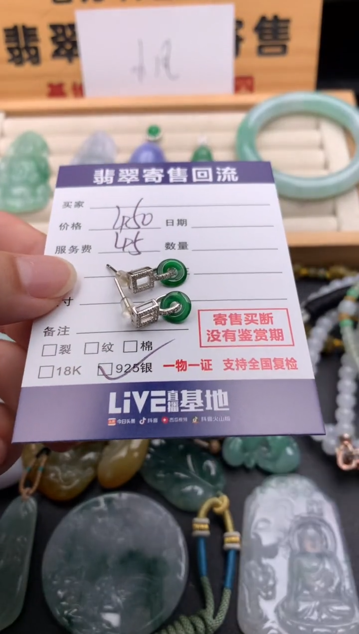 翡翠银S925镶嵌耳饰10141709