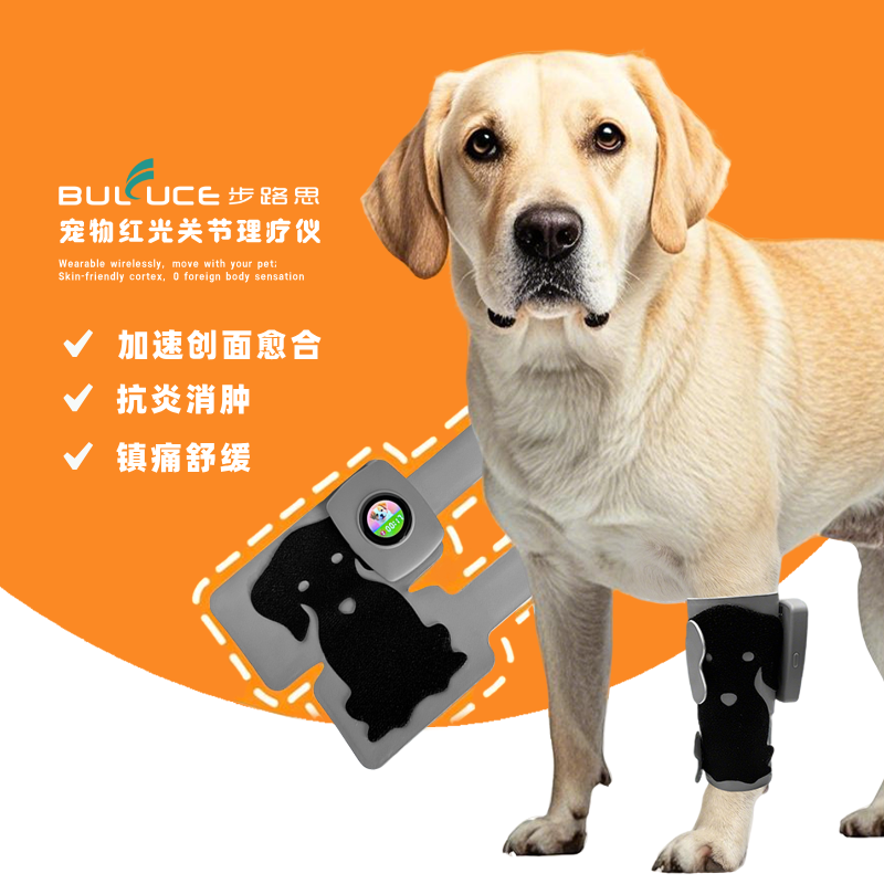 无线穿戴式宠物红光关节理疗仪