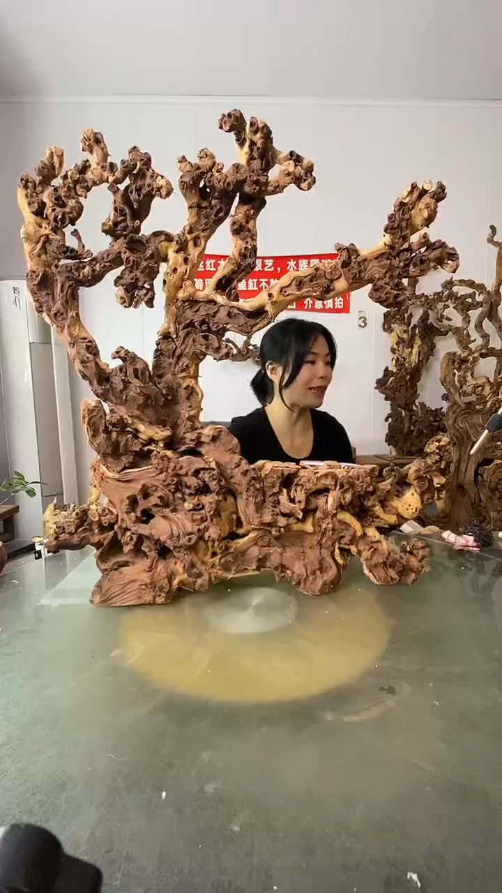 香榧木用****7金丝红木 羊蹄甲