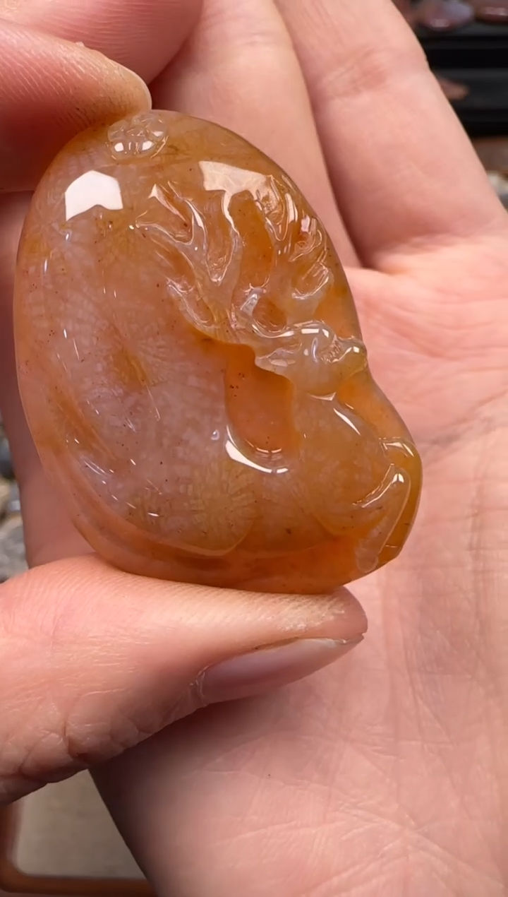 【闪购商品】硅化珊瑚（珊瑚玉）颈饰未镶嵌033