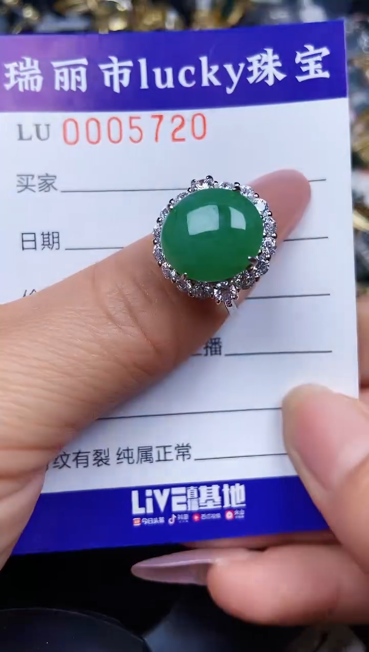 翡翠银S925镶嵌颈饰5720