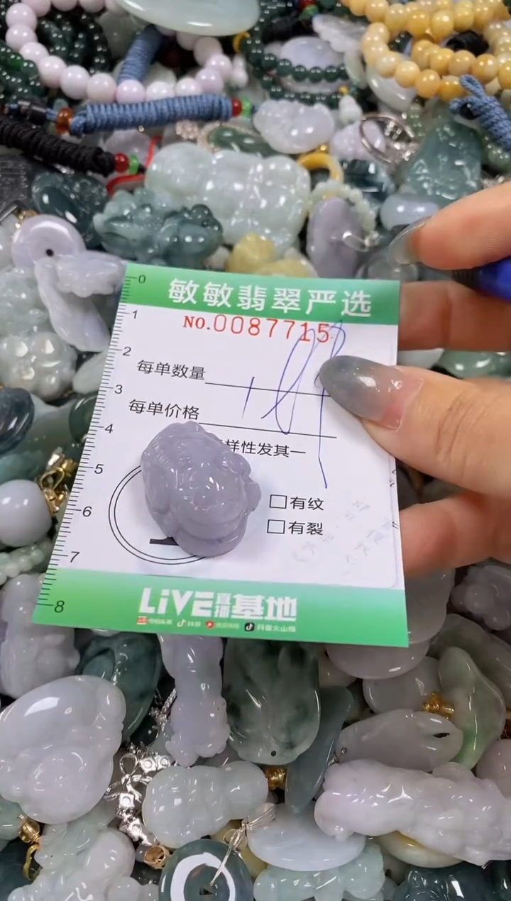 【闪购商品】翡翠颈饰未镶嵌闪购0087715