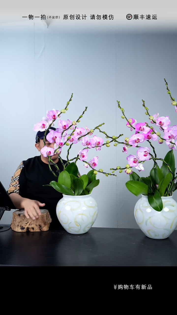 【闪购商品】029号链接【一物一拍】艺术盆景