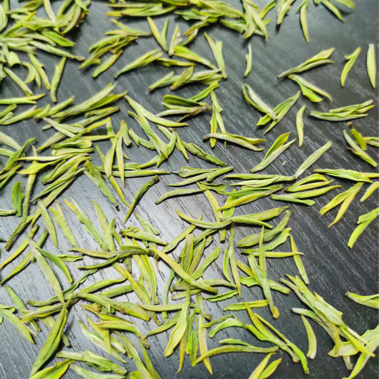 25年新茶头采小芽白茶兰花香