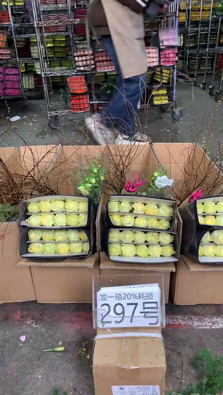 297号♥中通含20%耗损发一箱鲜花