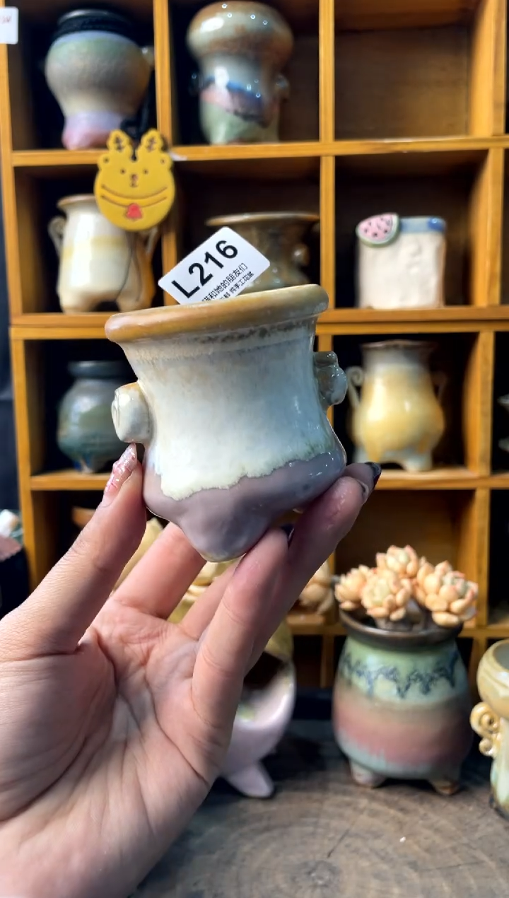 216内口5【多肉花盆多肉盆】1