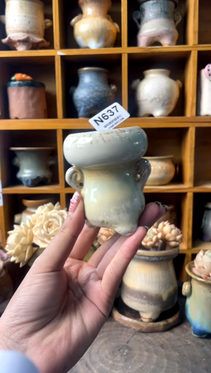 637内口5【多肉花盆多肉盆】