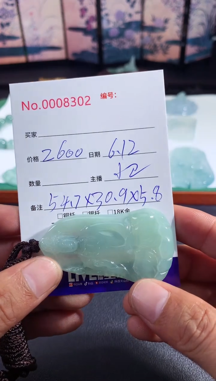 翡翠未镶嵌颈饰素衣