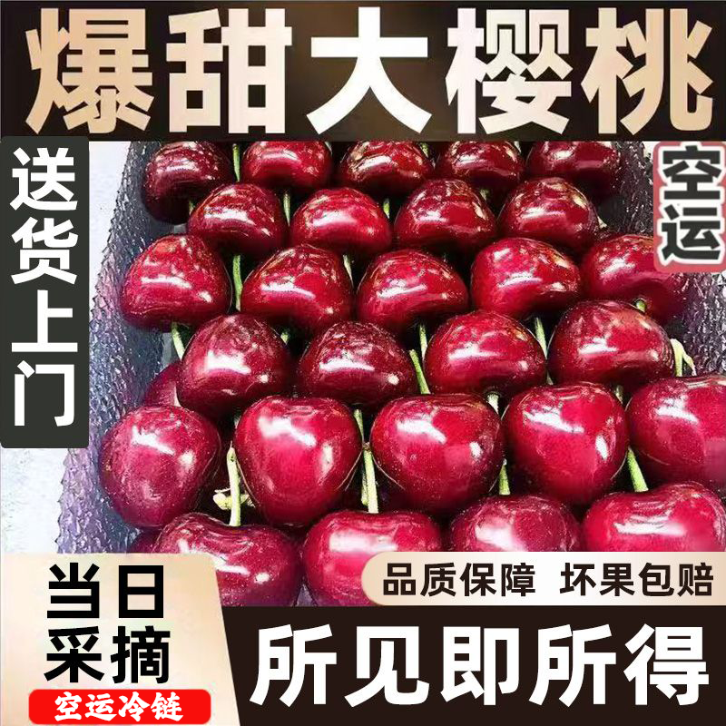 【空运冷链-萨米脱】大连露天樱桃现采现发新鲜包邮自吃沙王送礼装