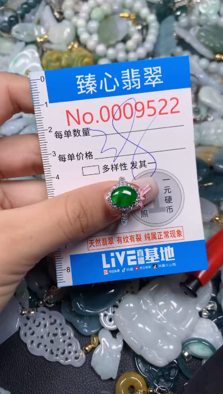 【闪购商品】翡翠颈饰未镶嵌含绳0009522