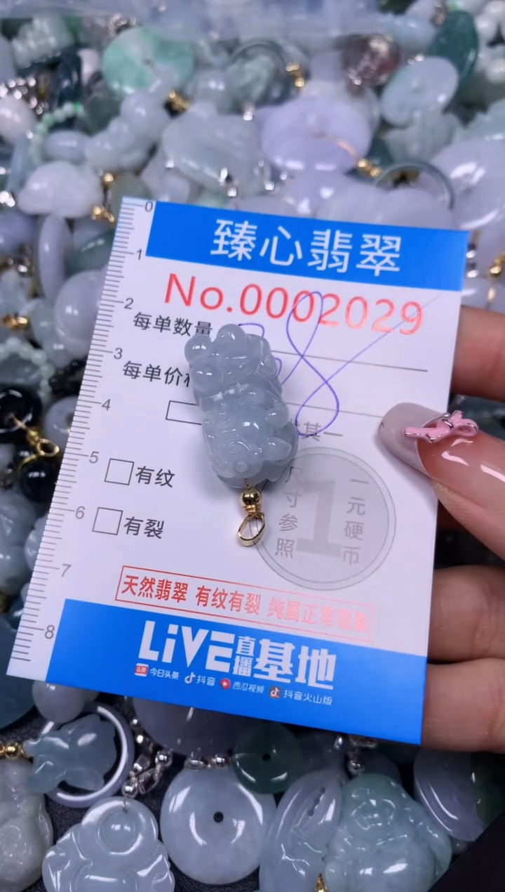 【闪购商品】翡翠颈饰未镶嵌含绳0002029