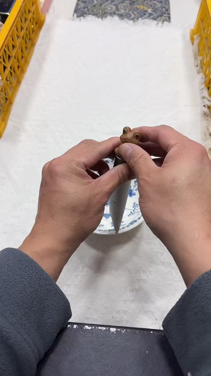 瓷片111111111111@@1