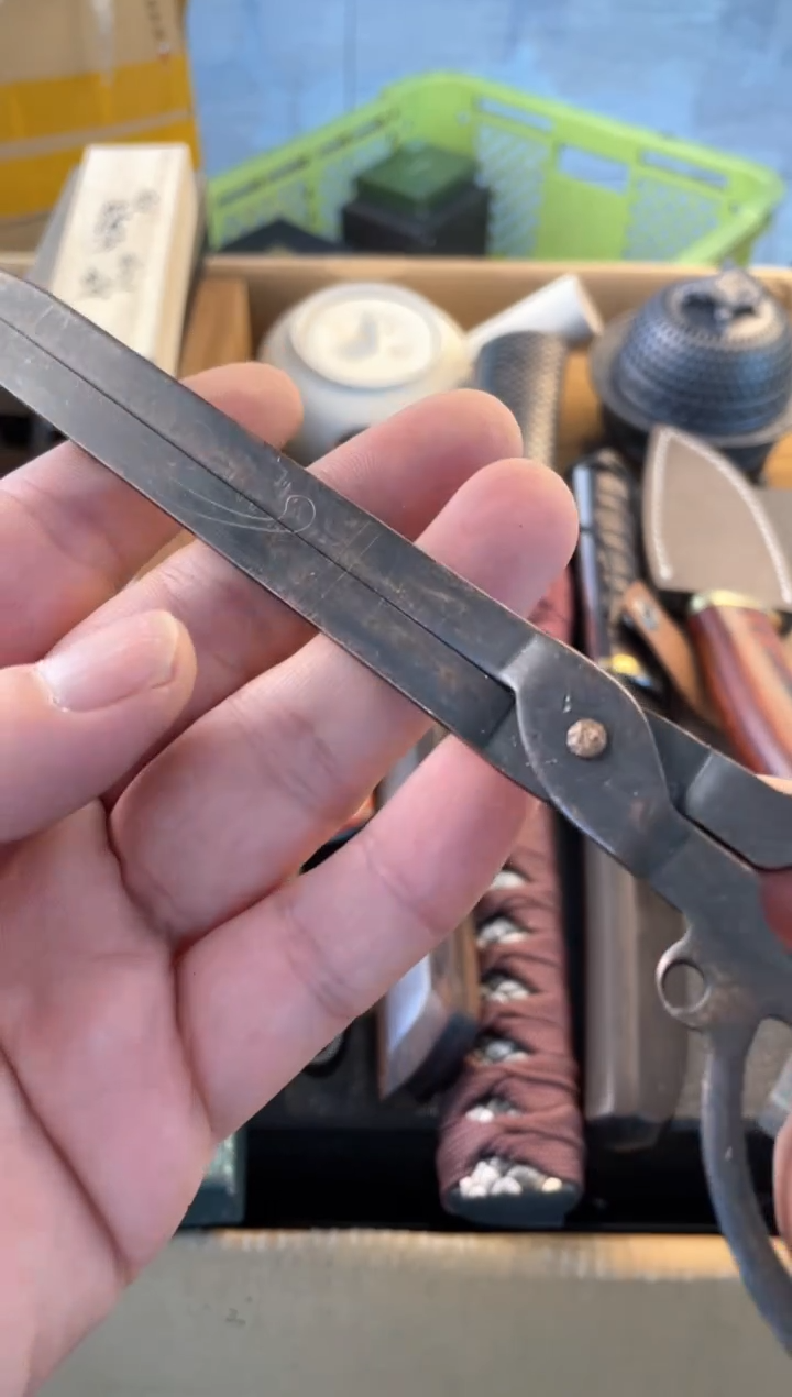 【闪购商品】瓷片qian 郑正杂货品质保证