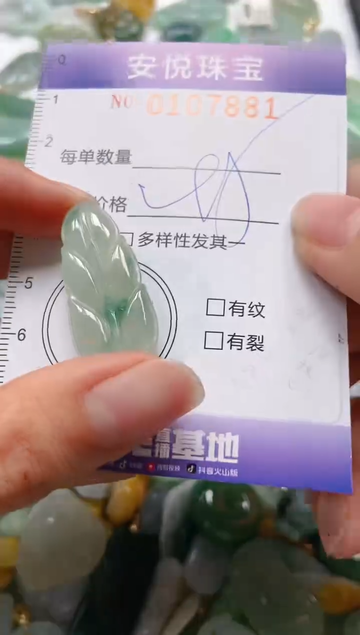 【闪购商品】翡翠颈饰未镶嵌闪购0107881