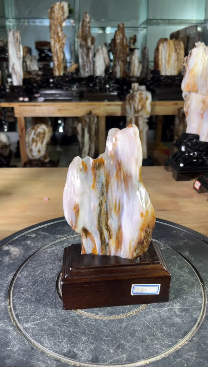 【闪购商品】硅化玉珠宝奇石未镶嵌1