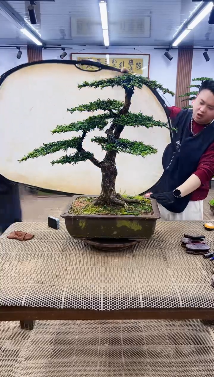 【闪购商品】000000