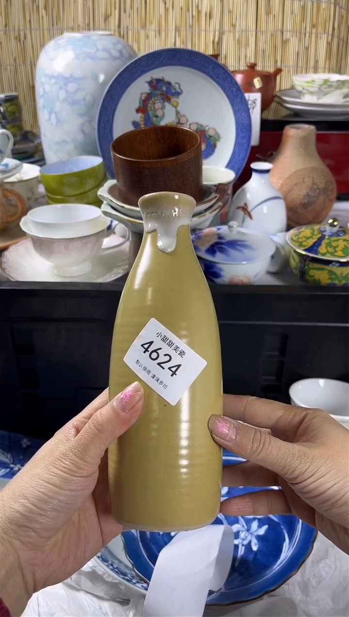 【闪购商品】碟            4624