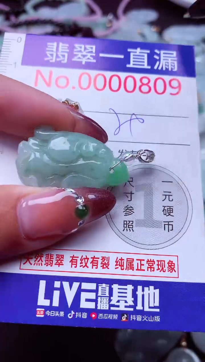 颈饰未镶嵌翡翠809