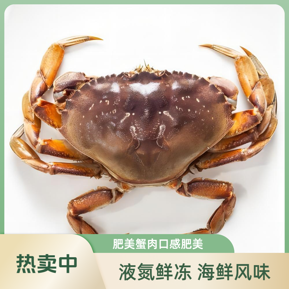 【液氮活冻】珍宝蟹2只+小青龙2只+老虎斑1条/顺丰冷链次日达中号