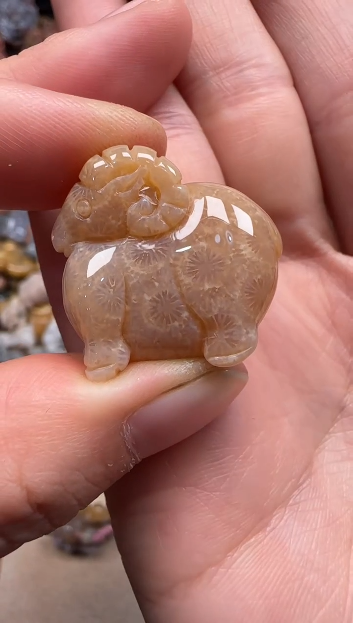 【闪购商品】硅化珊瑚（珊瑚玉）颈饰未镶嵌461