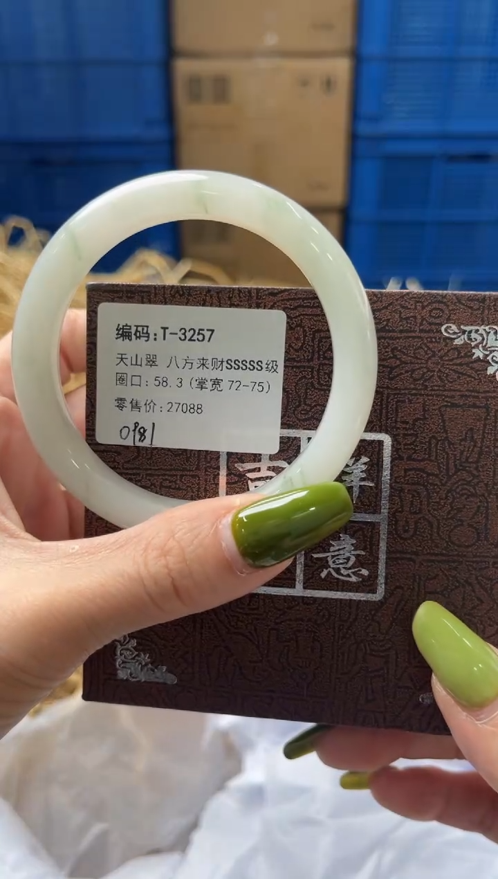 未镶嵌手镯石英质玉T3257