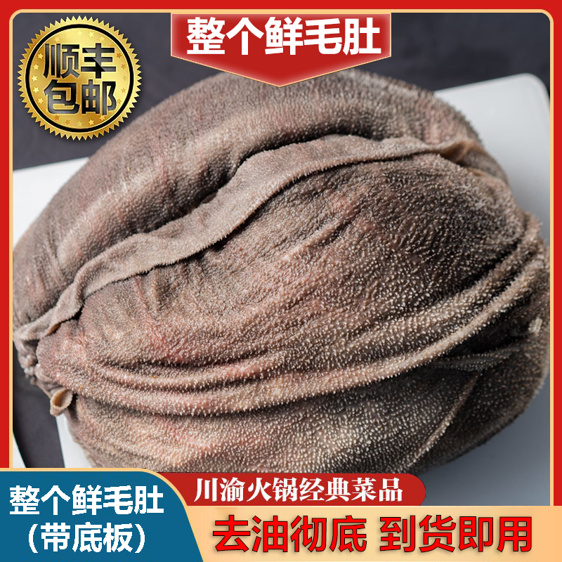 新鲜屠场毛肚生鲜（整肚带底板）去油去边角高品质 固形物含量95%